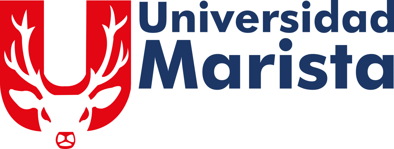 Universidad Marista